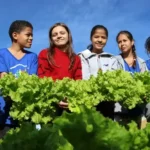 Banco Municipal de Alimentos de Formiga completa 18 anos com avanços na segurança alimentar