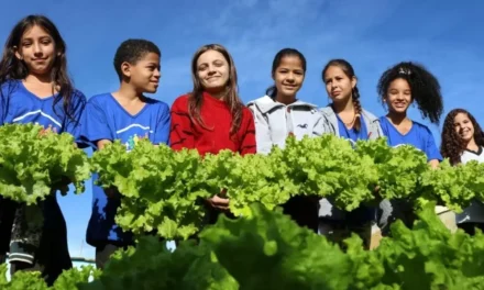 Banco Municipal de Alimentos de Formiga completa 18 anos com avanços na segurança alimentar