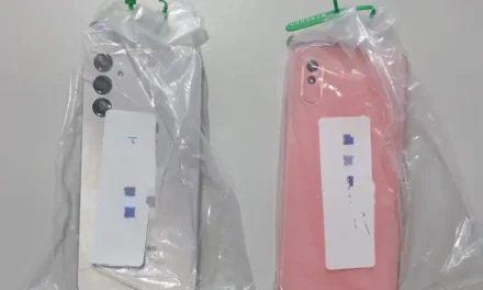 Servidora pública é presa por armazenar material pornográfico infantil em Quedas do Iguaçu