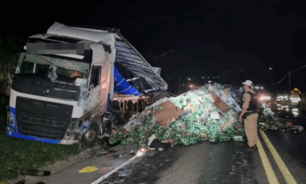 Caminhão carregado com cerveja tomba na MG-050 em Passos