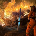 Incêndio às margens da BR-354 consome 25 hectares de pastagem em Formiga