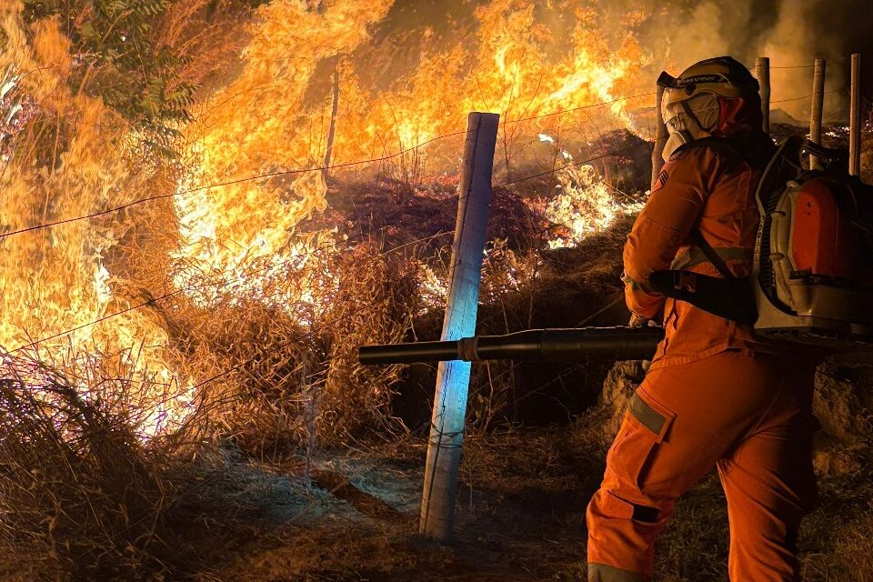 Incêndio às margens da BR-354 consome 25 hectares de pastagem em Formiga