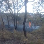 Bombeiros evitam que incêndio atinja galpões comerciais no bairro Planalto, em Formiga