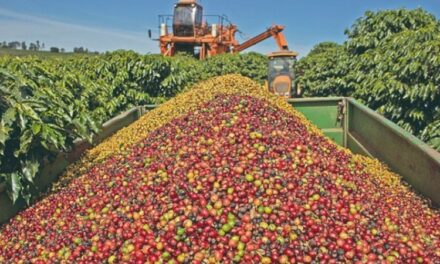 Exportações mineiras para os EUA caem 49,5%  