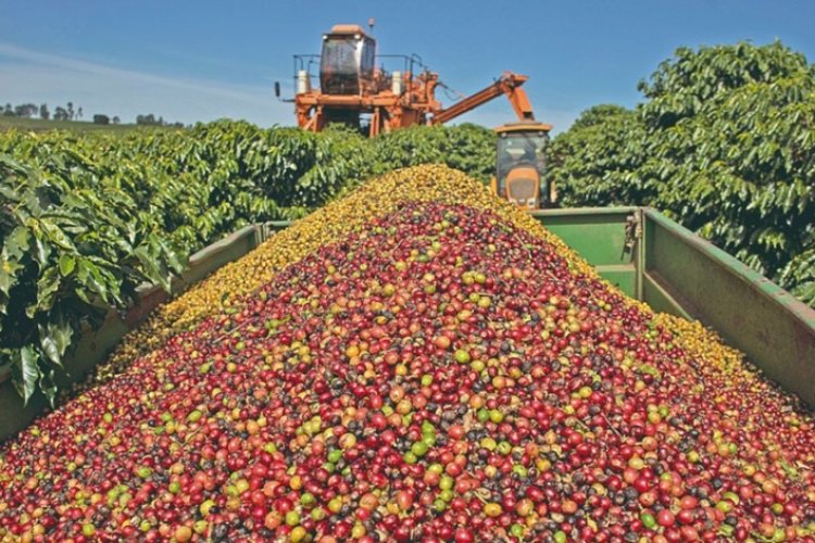 Exportações mineiras para os EUA caem 49,5%  