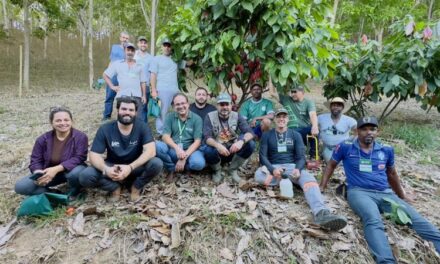 Curso piloto de cacauicultura capacita produtores em Raul Soares  