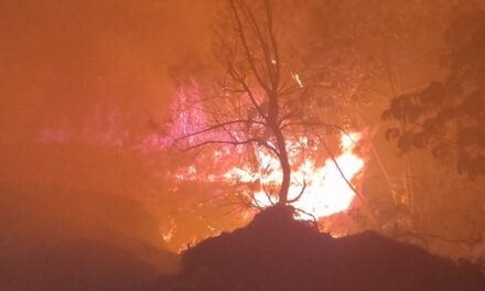 Bombeiros usam 10 mil litros de água para conter incêndio em Formiga