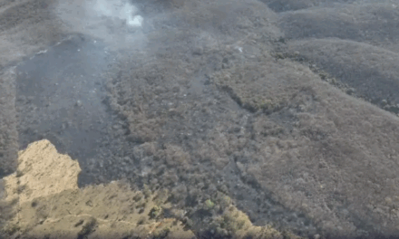 Incêndio destrói 27 hectares no Parque Estadual da Lapa Grande, em Montes Claros