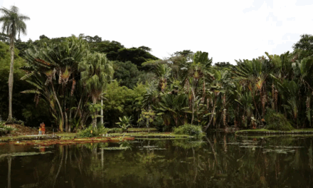 Concurso fotográfico sobre meio ambiente abre inscrições até 20 de setembro