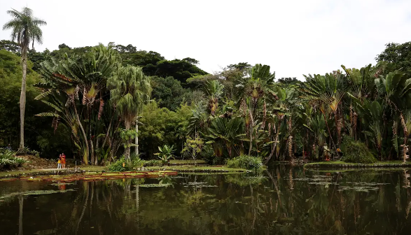 Concurso fotográfico sobre meio ambiente abre inscrições até 20 de setembro