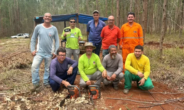 Servidores de Formiga recebem capacitação para uso seguro de motosserra