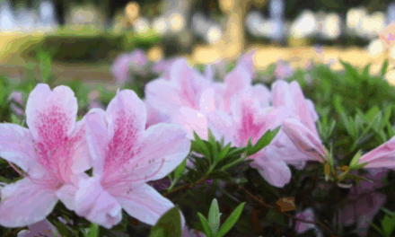 Primavera começa com frente fria, temporais e queda acentuada de temperatura em várias regiões do país