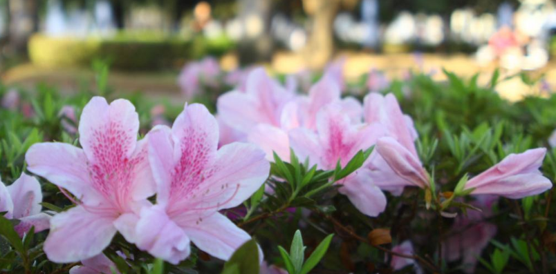 Primavera começa com frente fria, temporais e queda acentuada de temperatura em várias regiões do país