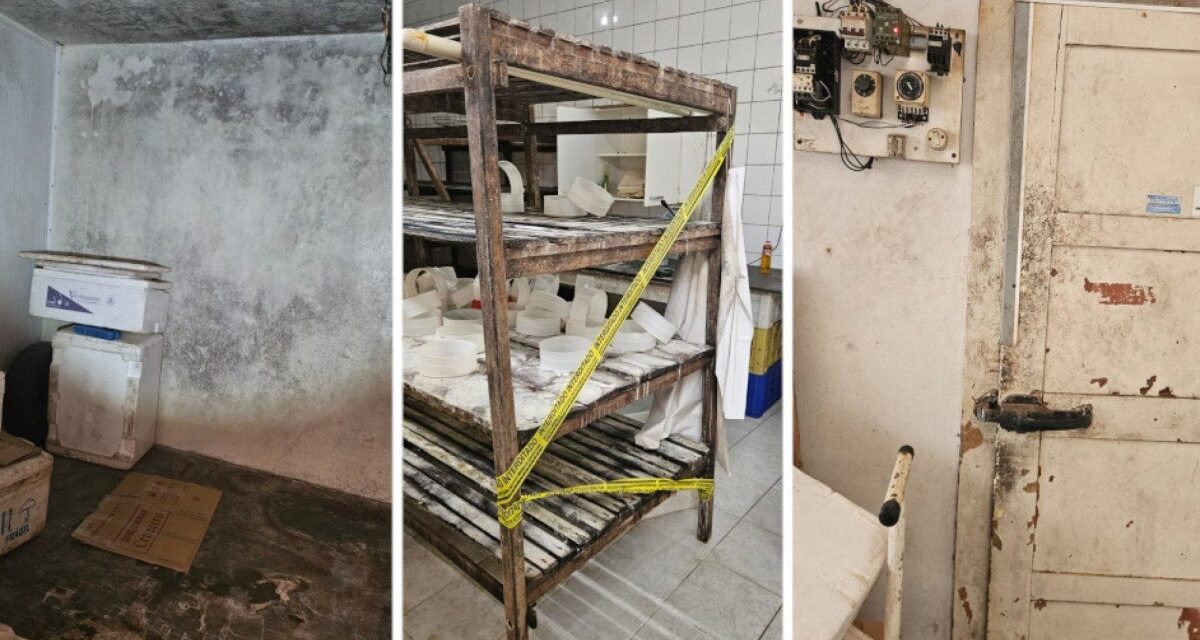 Queijaria clandestina é interditada e 250 kg de queijo impróprio são descartados em Uberaba