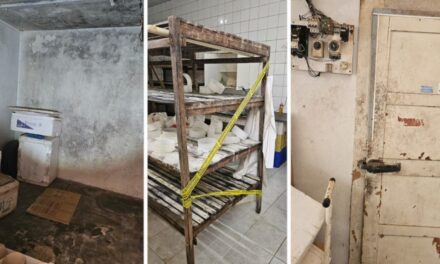 Queijaria clandestina é interditada e 250 kg de queijo impróprio são descartados em Uberaba