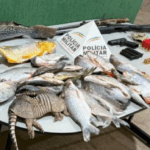 PM apreende armas, animais abatidos e peixes ilegais com subtenente da reserva e dois amigos