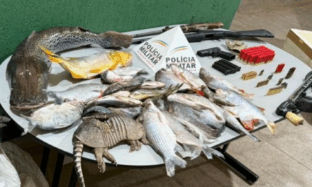 PM apreende armas, animais abatidos e peixes ilegais com subtenente da reserva e dois amigos