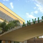 Anvisa proíbe comercialização de azeite, sal e chá por irregularidades; confira os produtos afetados