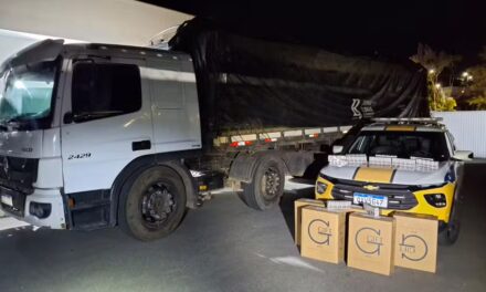 Polícia apreende 285 mil maços de cigarro contrabandeado na BR-494, em Carmo da Mata