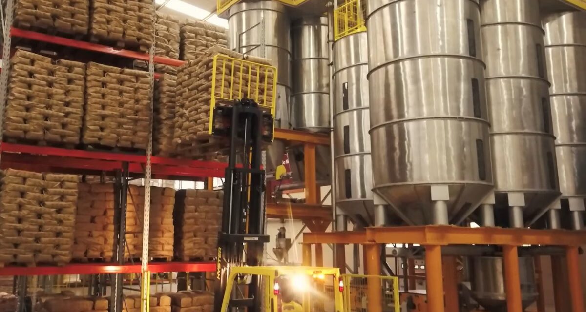 Café mineiro movimenta R$ 36 bilhões e impulsiona crescimento de produtores