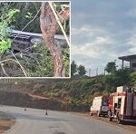 Caminhoneiro morre em acidente na AMG-1010, em Três Corações