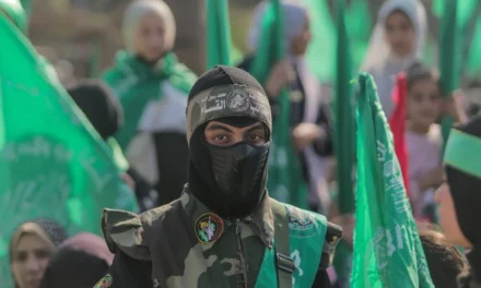 Hamas aceita parte da proposta de Trump para encerrar guerra em Gaza