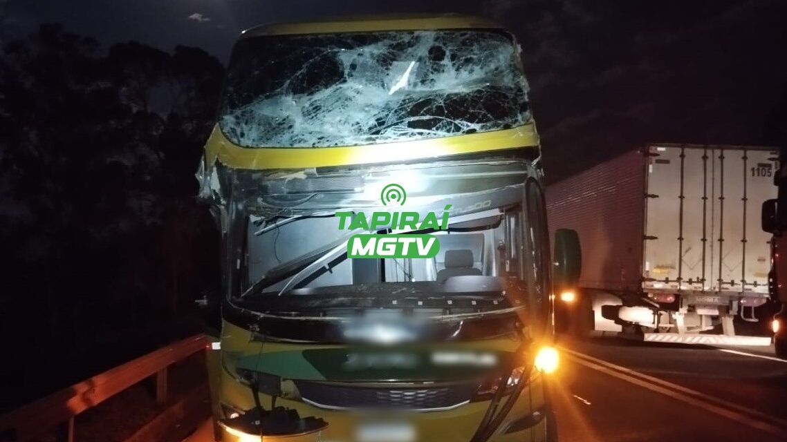 Árvore de grande porte cai e atinge ônibus e caminhão na BR-262, em Luz