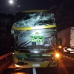Árvore de grande porte cai e atinge ônibus e caminhão na BR-262, em Luz