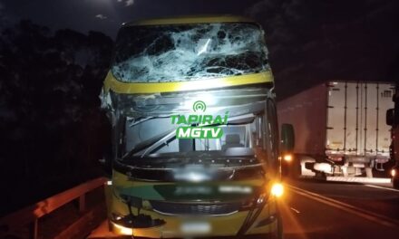 Árvore de grande porte cai e atinge ônibus e caminhão na BR-262, em Luz