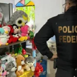 PF deflagra operação nacional contra abuso infantil na internet