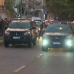 Operação Libertas combate tráfico de animais silvestres em 11 estados