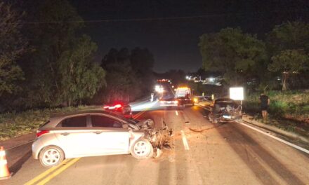 Colisão frontal deixa dois idosos feridos na MG-050