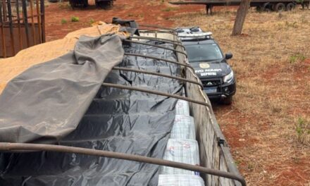 Polícia Civil recupera carga de arame avaliada em R$ 306 mil em Pirapora-MG
