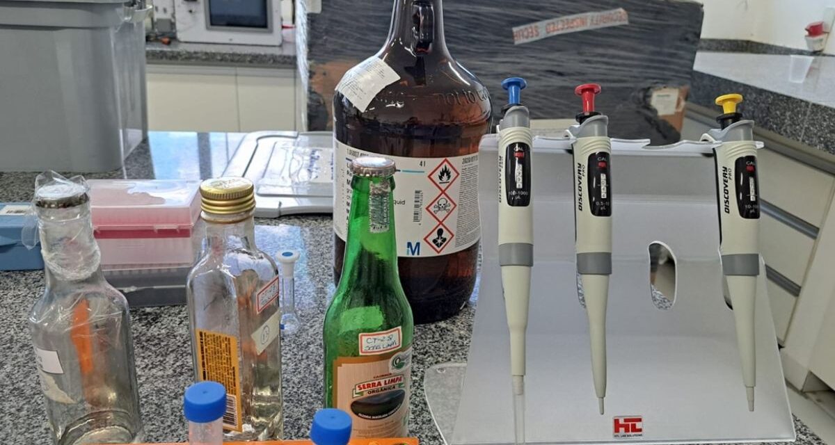 Luz infravermelha e canudos podem ser métodos de prevenção contra metanol em bebidas alcoólicas; revela pesquisa