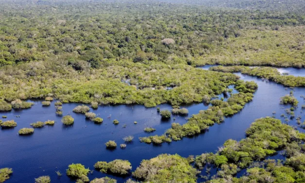 Campanha instala boleto gigante na Avenida Paulista para cobrar dívida climática com o Sul Global