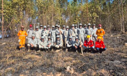 Corpo de Bombeiros de Formiga forma novos brigadistas de incêndio florestal em Itapecerica