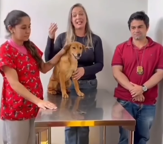 Cachorrinha que foi agredida em Pains será adotada por esposa do cantor Vinícius, da dupla João Bosco e Vinícius