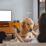 O que está por trás da nossa comoção com filmes sobre cães?