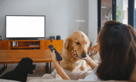 O que está por trás da nossa comoção com filmes sobre cães?