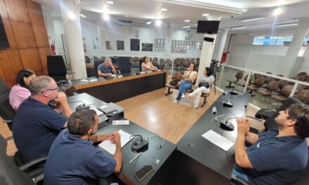 Profissionais da Escola Municipal Angelita Gomes Pereira são ouvidas em oitiva da Comissão Especial de Educação