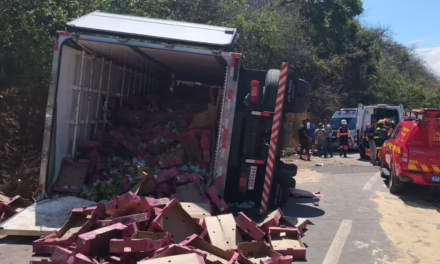 Motorista fica gravemente ferido após caminhão bater em mureta na BR-381