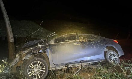 Duas pessoas ficam feridas após atropelamento de cavalo na BR-354