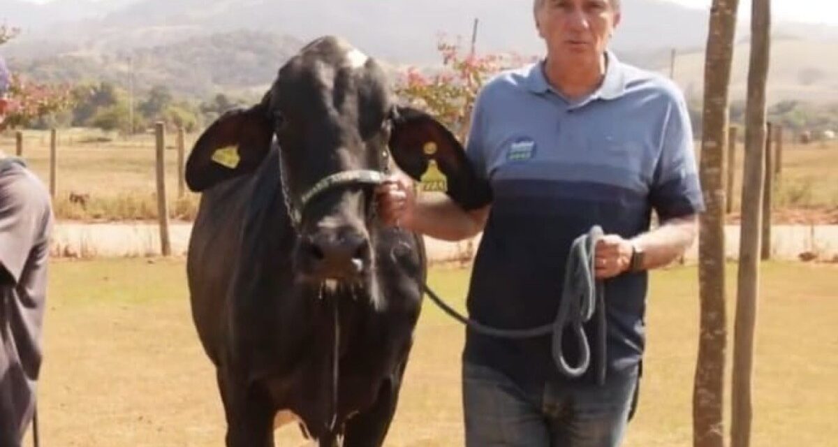 Deputado Rafael Simões é condenado por desviar medicamentos do SUS para uso veterinário em sua fazenda