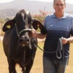 Deputado Rafael Simões é condenado por desviar medicamentos do SUS para uso veterinário em sua fazenda