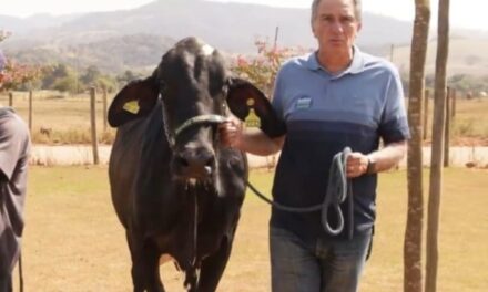 Deputado Rafael Simões é condenado por desviar medicamentos do SUS para uso veterinário em sua fazenda