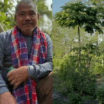 Agricultor transforma área árida em floresta de 550 hectares