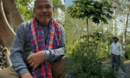 Agricultor transforma área árida em floresta de 550 hectares
