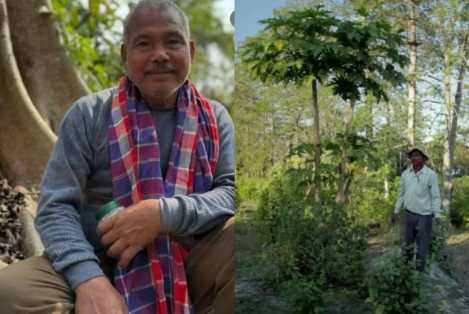 Agricultor transforma área árida em floresta de 550 hectares