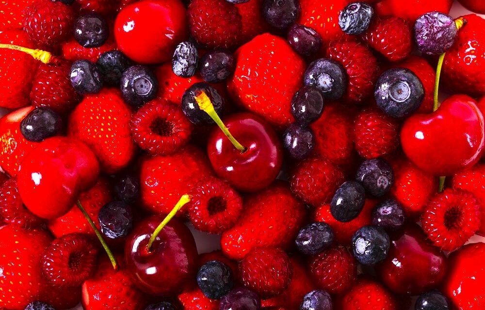 Frutas vermelhas ganham espaço em Minas Gerais com aumento de 30% na área cultivada