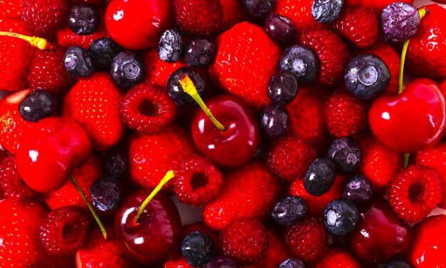 Frutas vermelhas ganham espaço em Minas Gerais com aumento de 30% na área cultivada